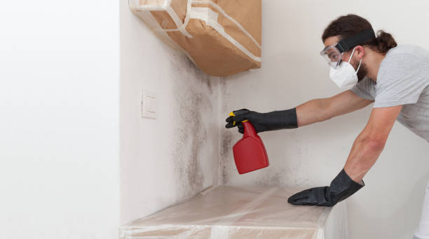 Professional Bathroom Mold Removal technician working in Hicksville, NY