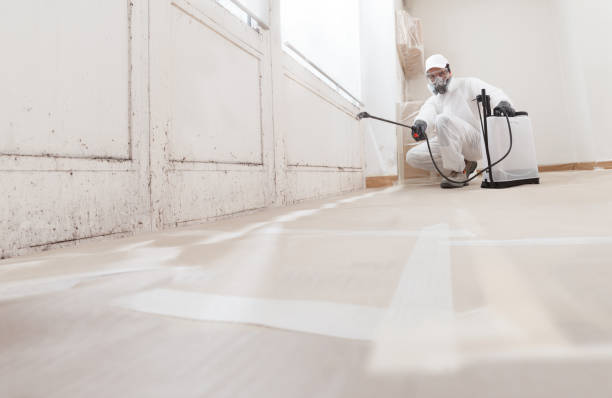 24/7 Emergency Bathroom Mold Removal experts in Hicksville, NY